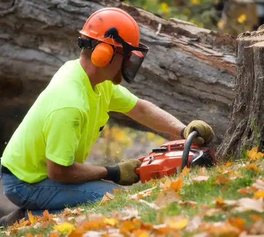 tree services Estherwood